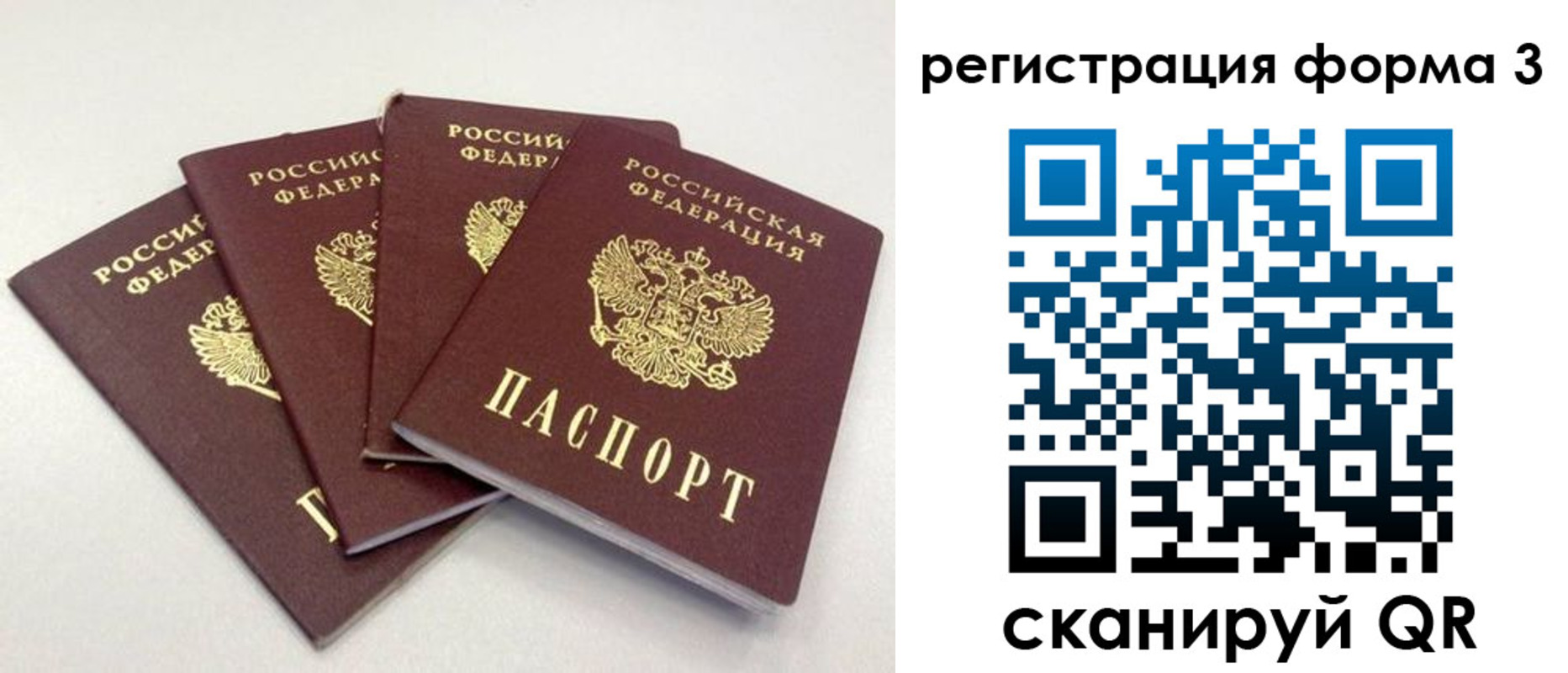прописка 2025 в Зарайске